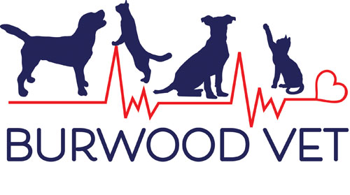 Burwood Logo