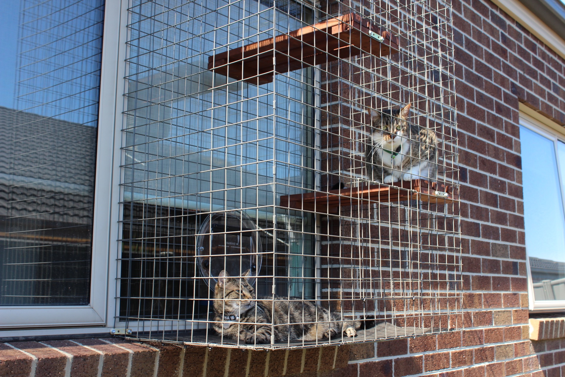 Cat enclosure window box