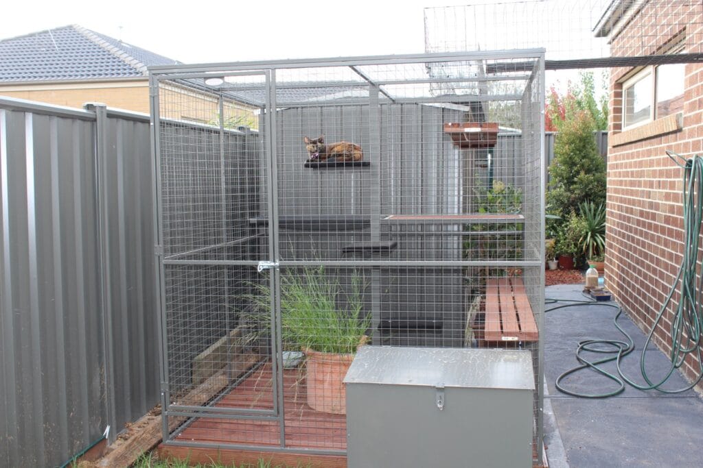 Picture Idea: Cat Enclosures What You Should Know
